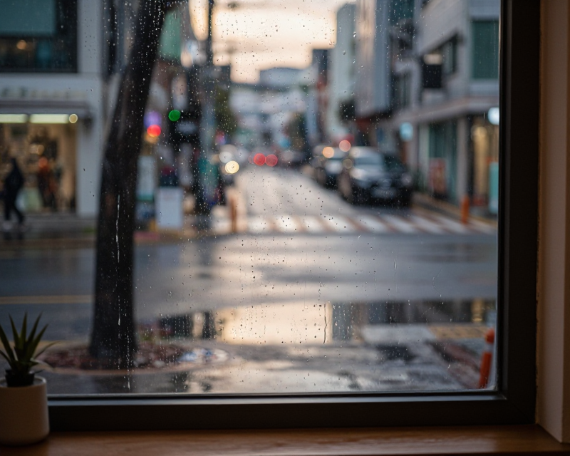 Rainy Seoul Urban Atmosphere